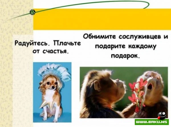Если вам надоела ваша работа? [25 фото]
