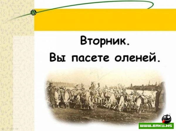 Если вам надоела ваша работа? [25 фото]
