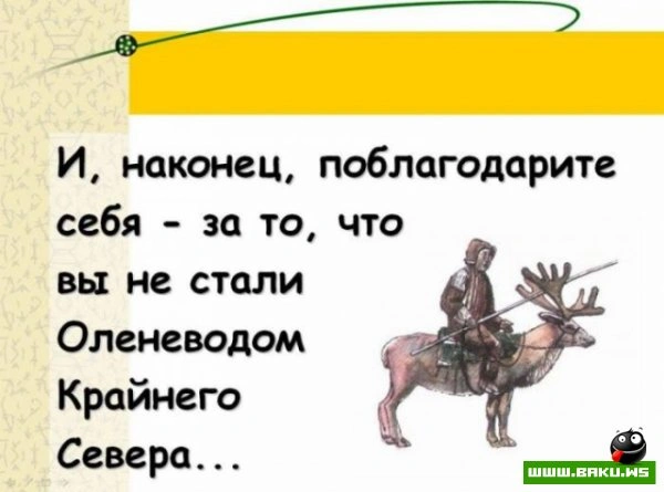Если вам надоела ваша работа? [25 фото]