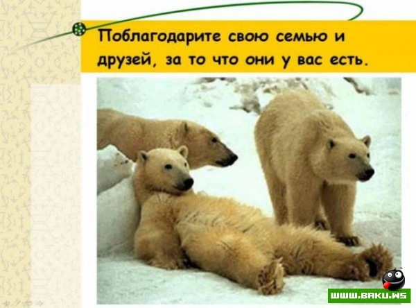 Если вам надоела ваша работа? [25 фото]