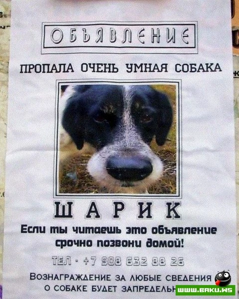 Фотоподборка [100 фото]
