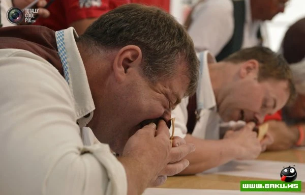 Чемпионат мира по нюханию табака