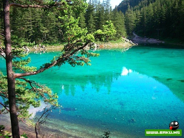 Подводный парк «Зеленое озеро»