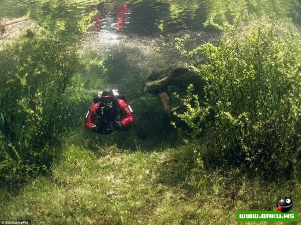 Подводный парк «Зеленое озеро»