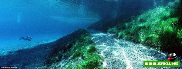 Подводный парк «Зеленое озеро»