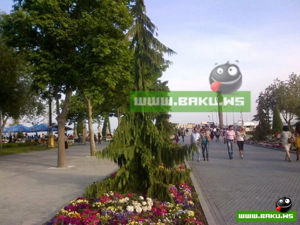 Милли Юмор [19 фото]