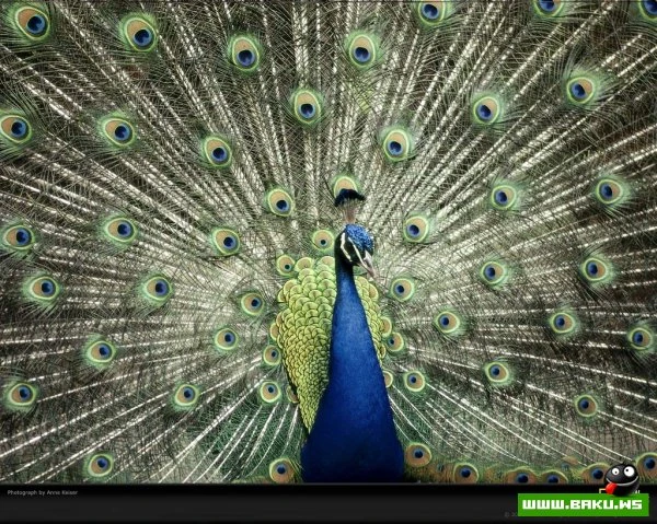 Планета Земля в синем цвете National Geographic