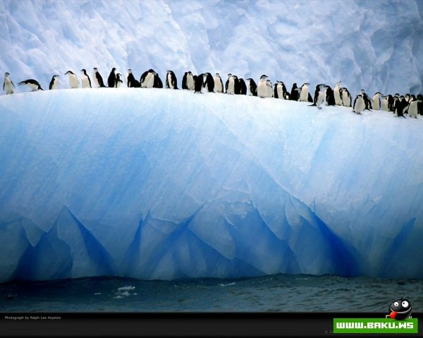 Планета Земля в синем цвете National Geographic