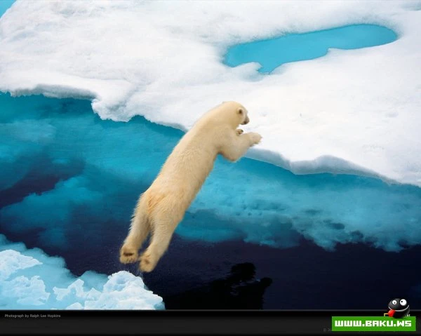 Планета Земля в синем цвете National Geographic