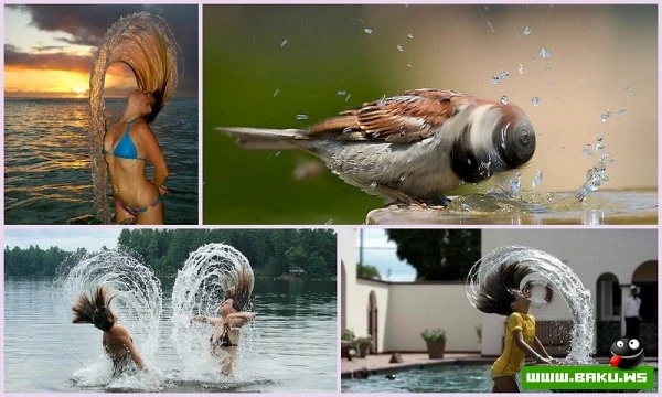 Фотки типа 