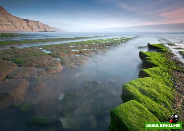 Морские пейзажи Паулу Флопа