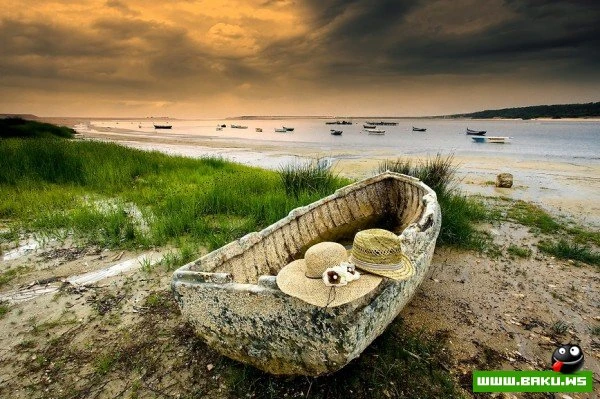 Морские пейзажи Паулу Флопа