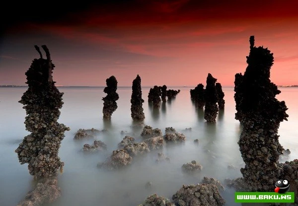 Морские пейзажи Паулу Флопа