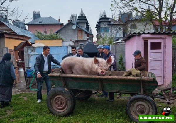 Дома цыганских баронов
