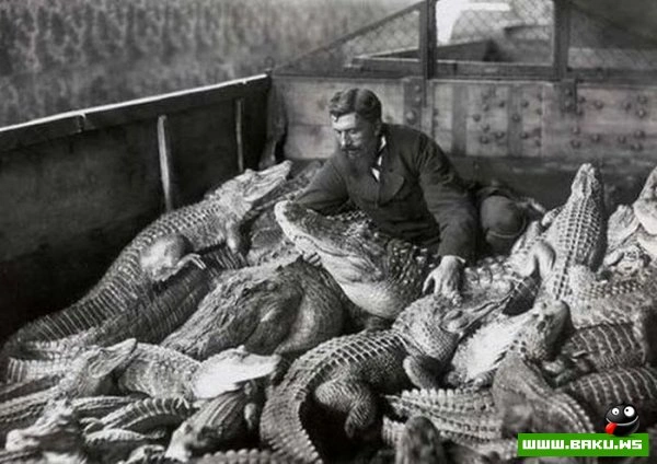 Больше, чем просто фото...