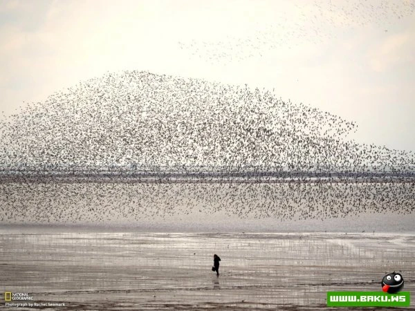 Лучшие фотографии недели от National Geographic
