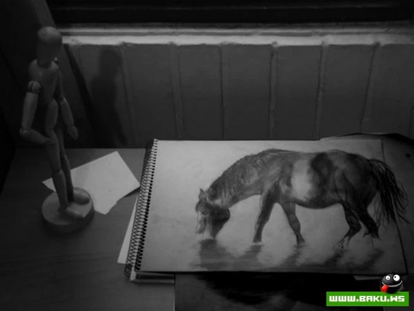 Анаморфные 3D-рисунки Fredo