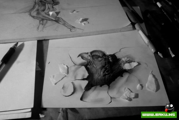 Анаморфные 3D-рисунки Fredo