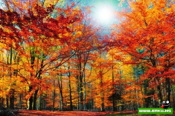 Пейзажные фотопутешествия Филиппа Сент-Лоди