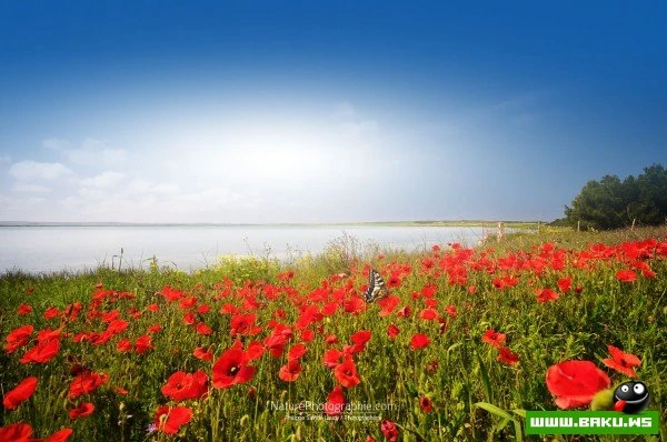 Пейзажные фотопутешествия Филиппа Сент-Лоди