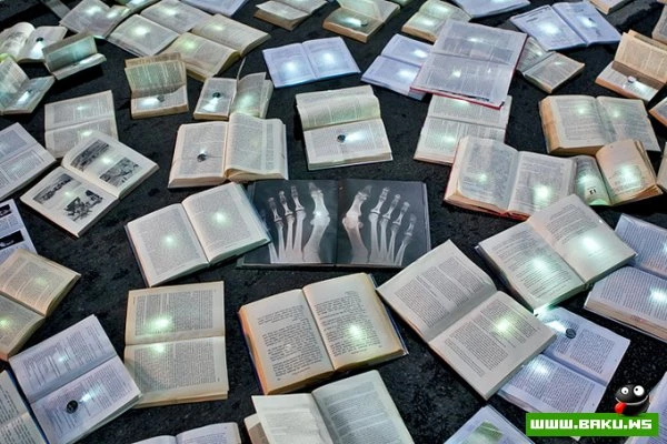 Река из книг в Мельбурне