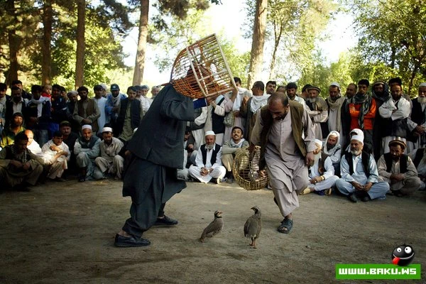 Иран и Афганистан в фотографиях Mohammad Kheirkhah