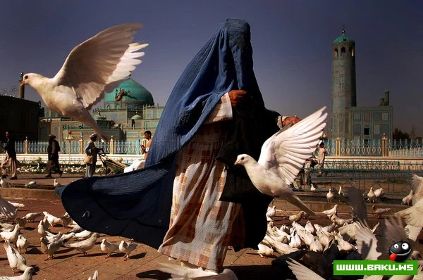 Иран и Афганистан в фотографиях Mohammad Kheirkhah