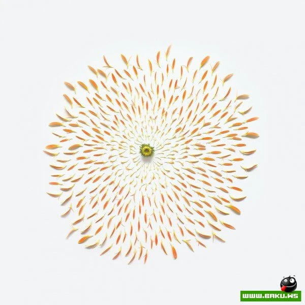 Цветы – модель разборки от Фонг Ци Вэя (Fong Qi Wei)