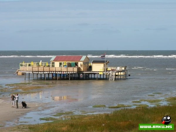 Плавающий остров Ширмонникоог (Schiermonnikoog)