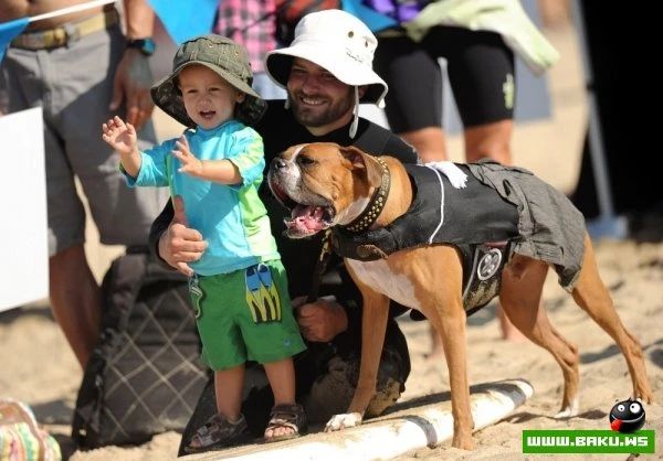 Ежегодный конкурс собак-серфингистов «Surf City Surf Dog»