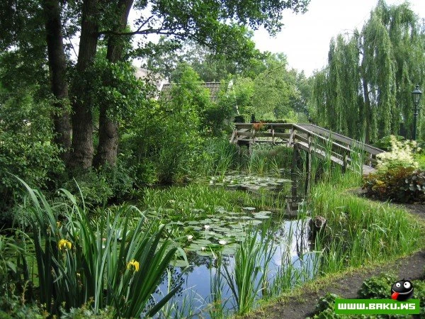 Гитхорн (Giethoorn) – деревня без дорог