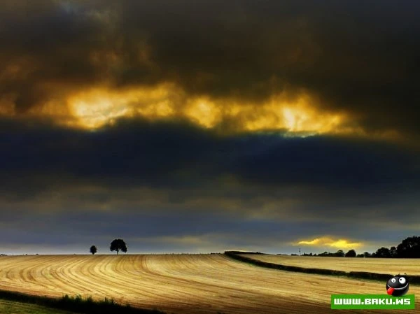 Мистическая природа Британии в фотографиях Эрика Гонсалвеса (Eric Goncalves)