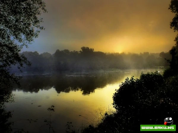 Мистическая природа Британии в фотографиях Эрика Гонсалвеса (Eric Goncalves)