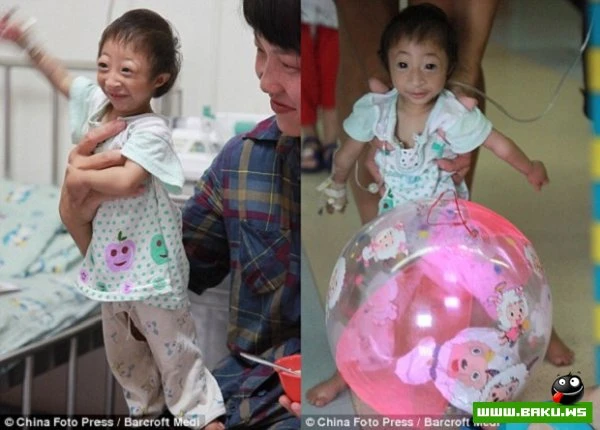 Китайская дюймовочка весит всего 2,5 килограмма