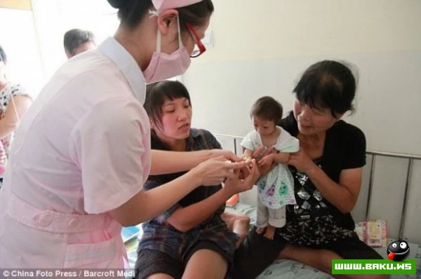 Китайская дюймовочка весит всего 2,5 килограмма