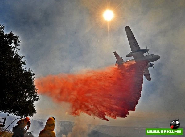 18.10.2012 - день в фотографиях