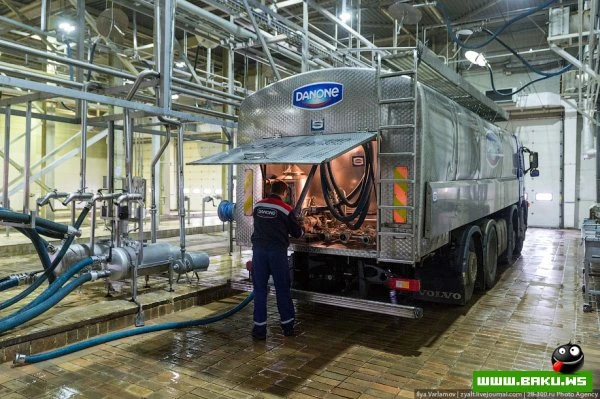 Как делают йогурты Danone