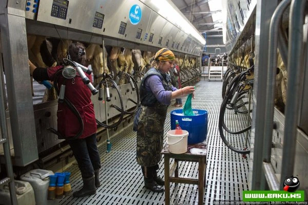 Как делают йогурты Danone