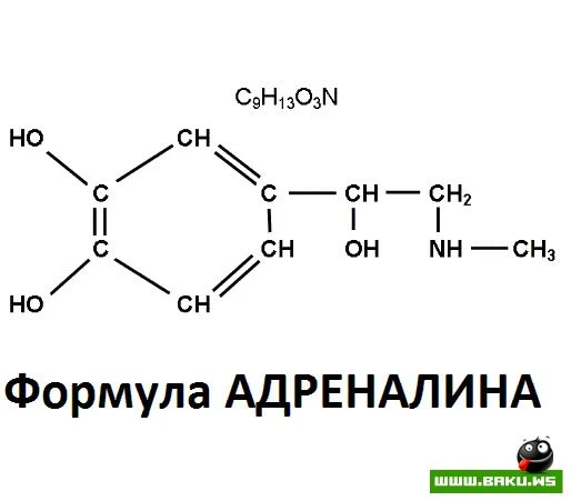 Это развлечение не для каждого!