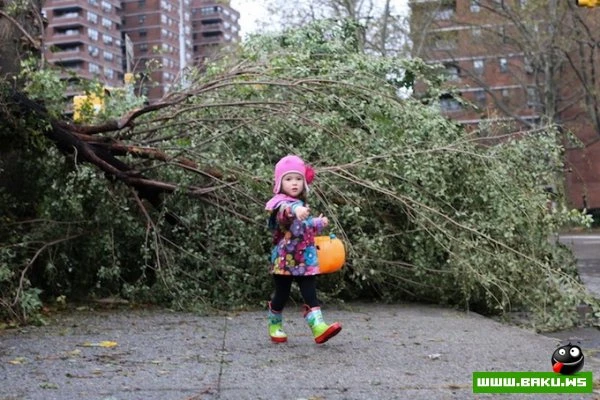Жизнь после Сэнди в Нью-Йорке