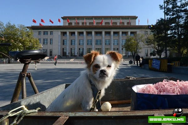 12/11/2012 - день в фотографиях