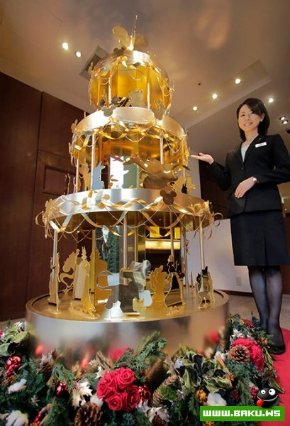 21.11.2012 - день в фотографиях