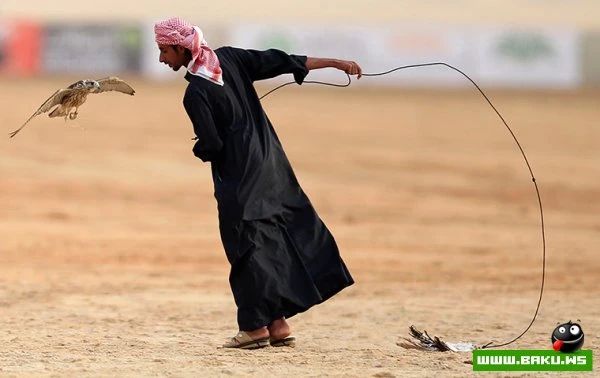 30/11/2012 - день в фотографиях