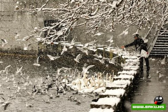 03.12.2012 - день в фотографиях