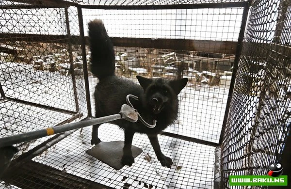 07.12.2012 - день в фотографиях