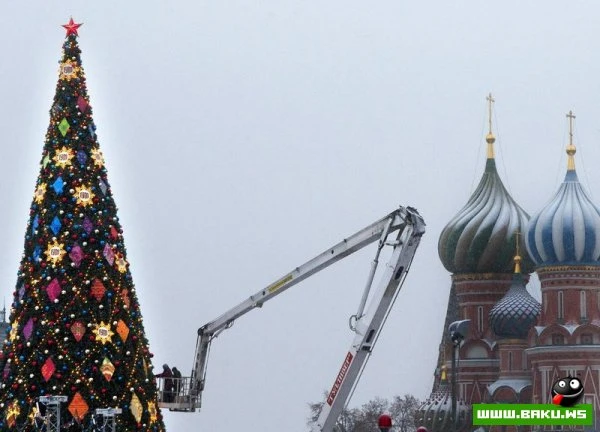 Новогодние елки со всего мира