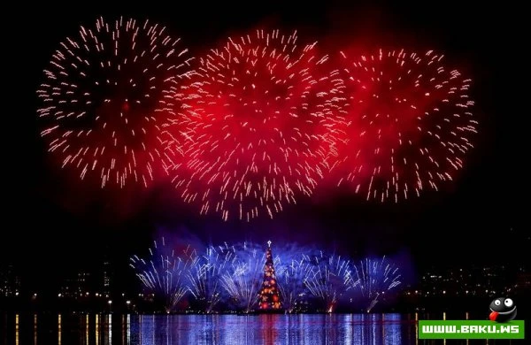 Новогодние елки со всего мира