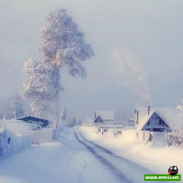 Больше, чем просто фото