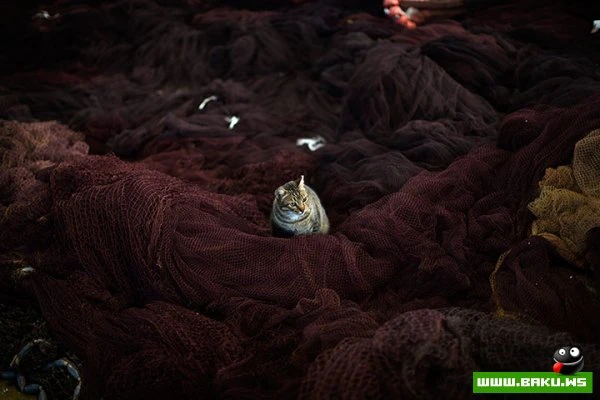 14.12.2012 - день в фотографиях