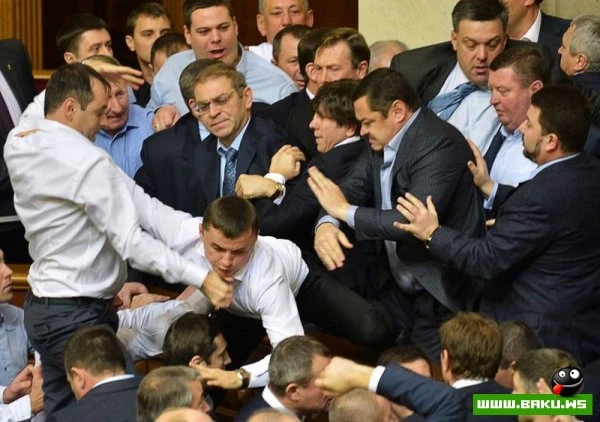 Кулачные бои чиновников [25 фото]